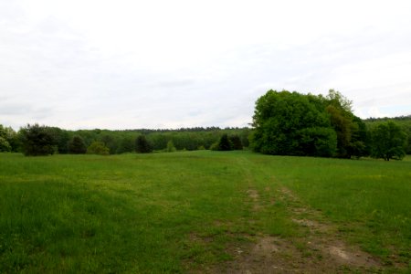 NSG Brüsenwalde 2021-05-29 40