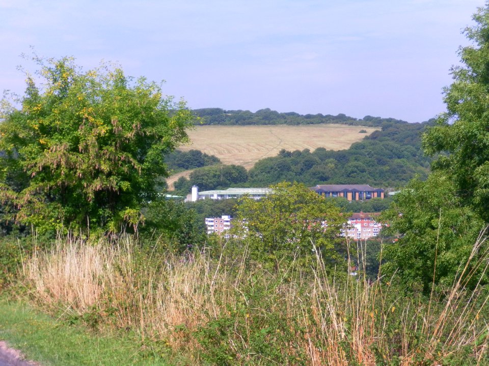 Northwestward view towards Hollingbury Hill from Meadowview, Brighton (August 2013) (2)