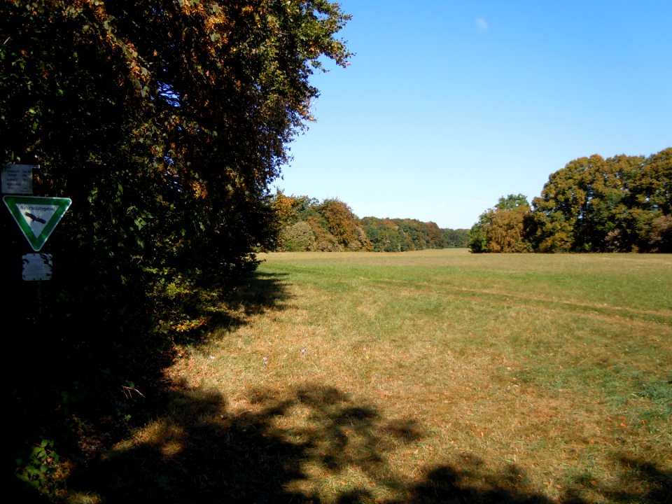 NSG Hochwiesen-Pfullinger Berg Waldmantel Magerwiese Baumgruppe