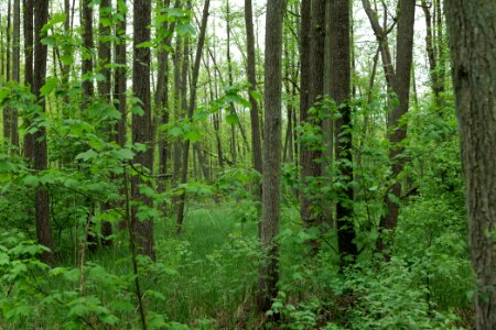 NSG Küstrinchen 2021-05-29 04