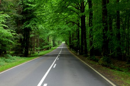 NSG Brüsenwalde 2021-05-29 106
