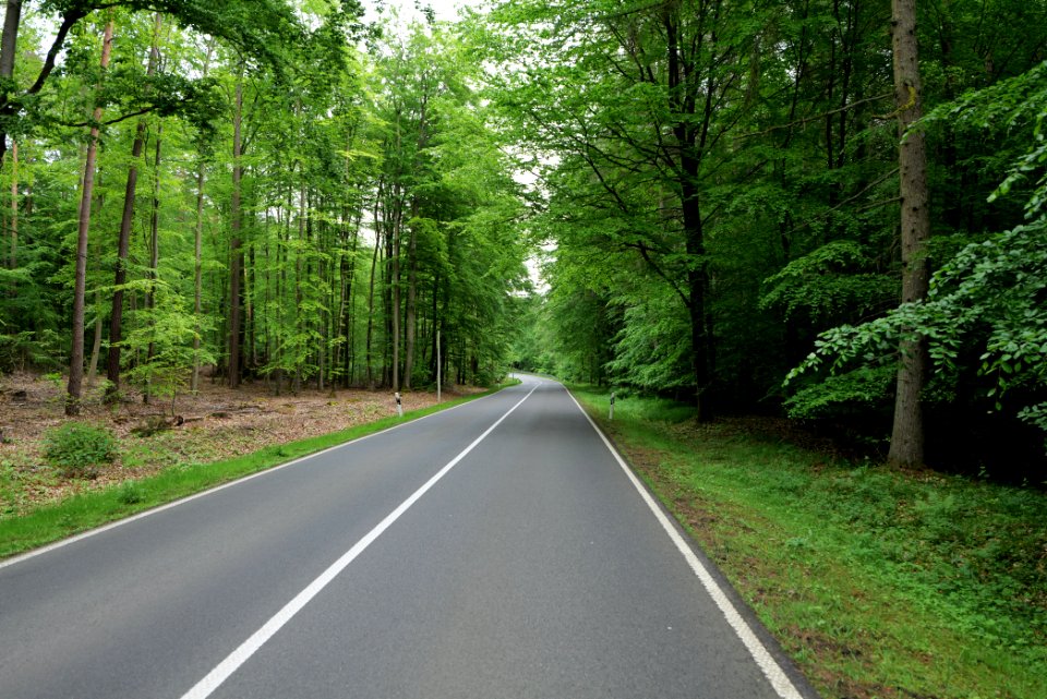 NSG Brüsenwalde 2021-05-29 111