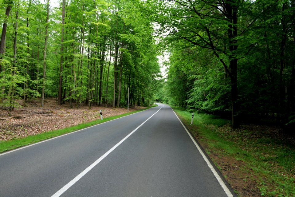 NSG Brüsenwalde 2021-05-29 112