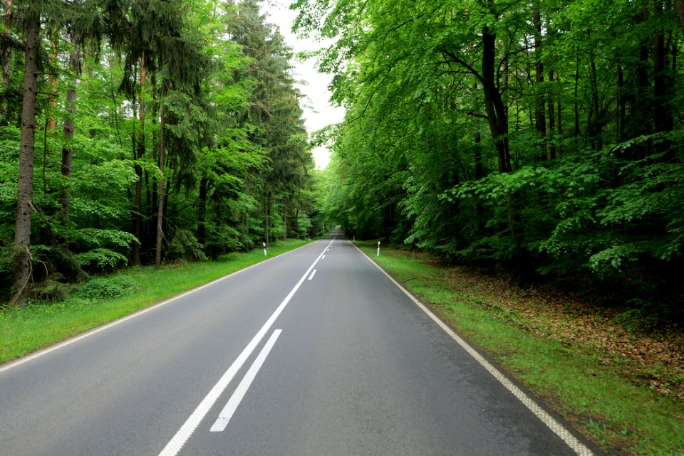 NSG Brüsenwalde 2021-05-29 102
