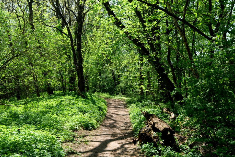 NSG Glasowbachniederung 2021-05-11 08
