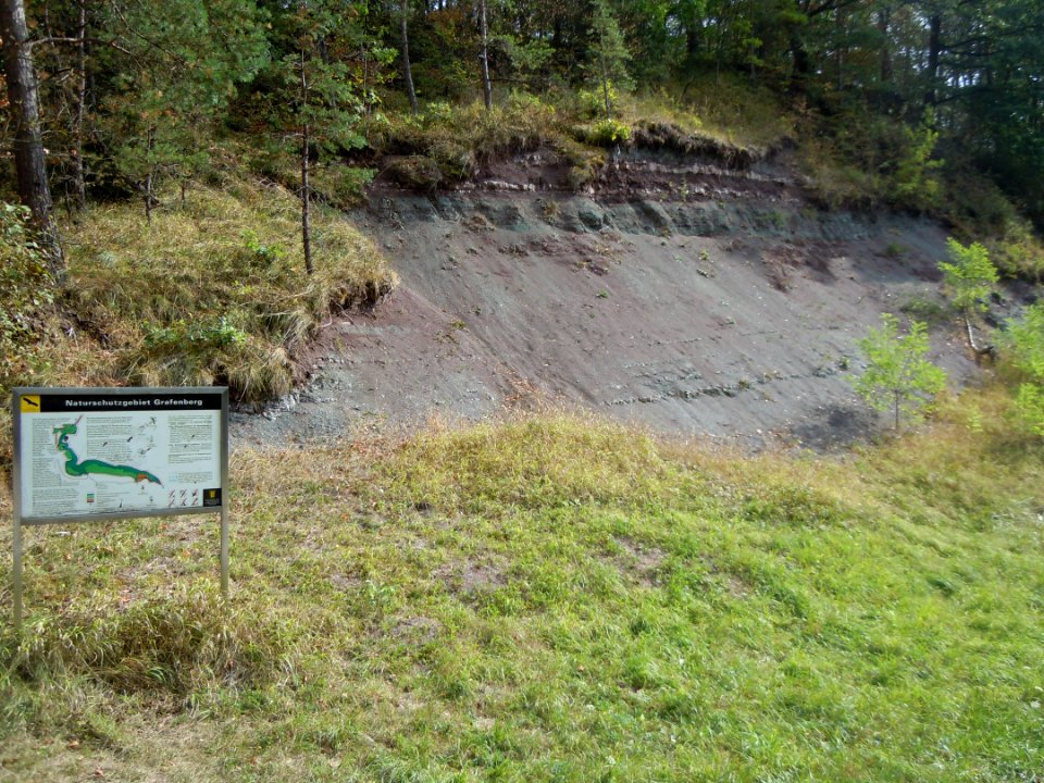 NSG Grafenberg - Aufschluss