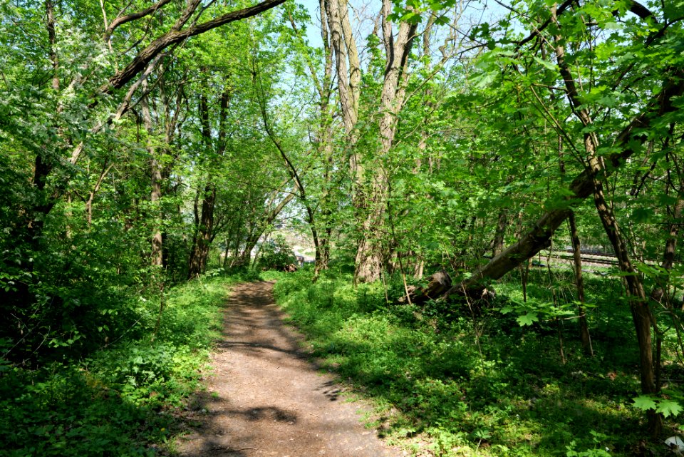 NSG Glasowbachniederung 2021-05-11 13