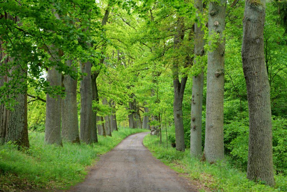 NSG Brüsenwalde 2021-05-29 58