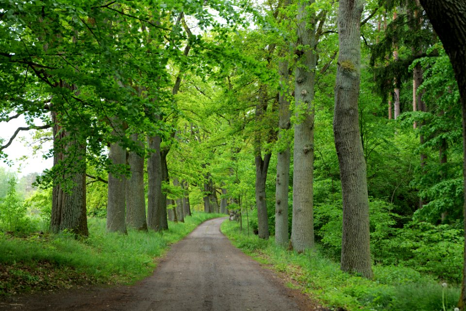 NSG Brüsenwalde 2021-05-29 59