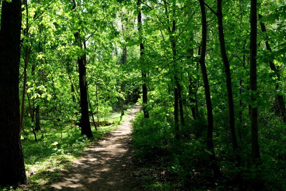 NSG Glasowbachniederung 2021-05-11 19