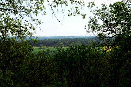 NSG Großmachnower Weinberg 2021-05-11 27