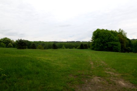 NSG Brüsenwalde 2021-05-29 31