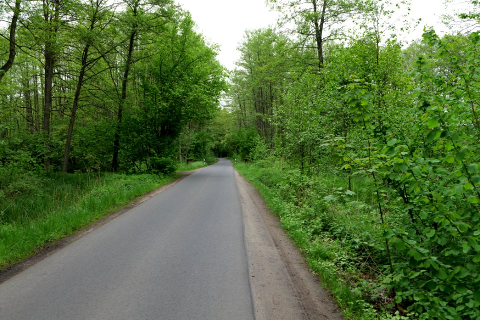 NSG Brüsenwalde 2021-05-29 14