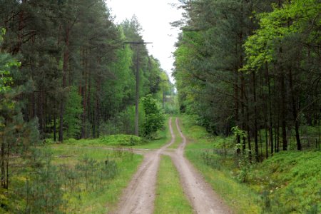 NSG Kleine Schorfheide 2021-05-29 106