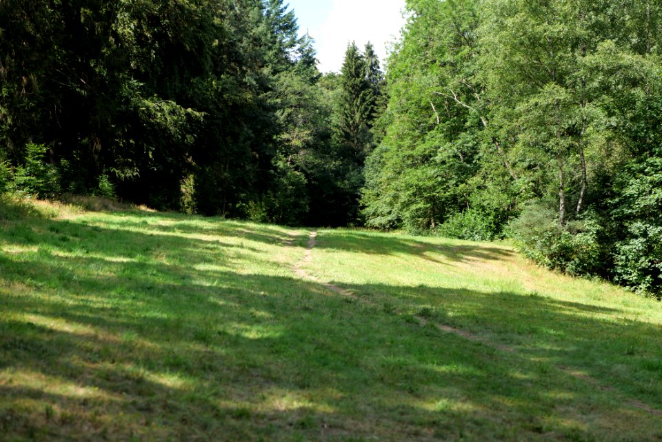 NSG Reichenbachtal 2020-08-18 01