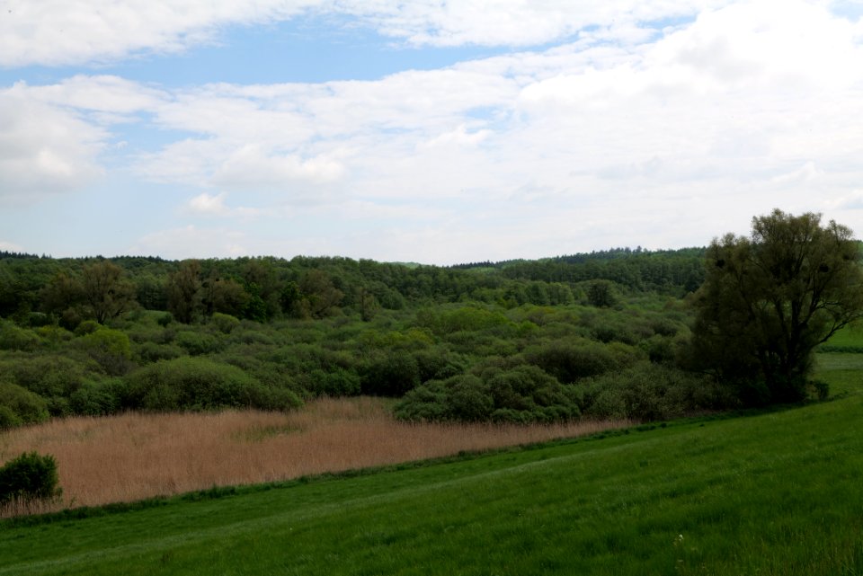 NSG Mellensee-Marienfließ from street 2021-05-29 10