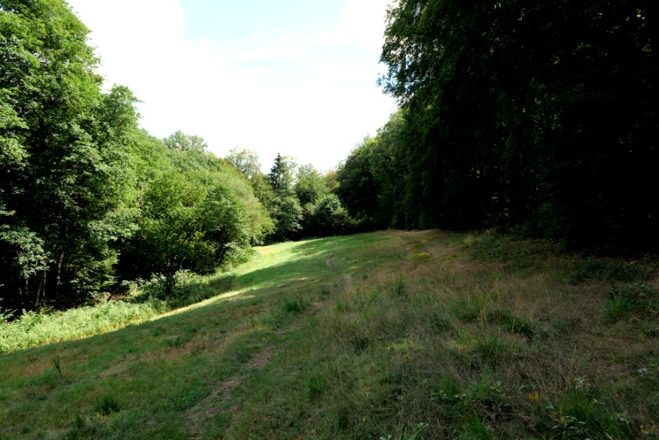 NSG Reichenbachtal 2020-08-18 04