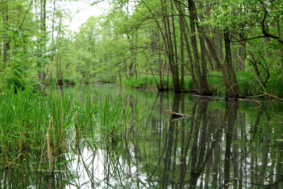 NSG Küstrinchen 2021-05-29 12