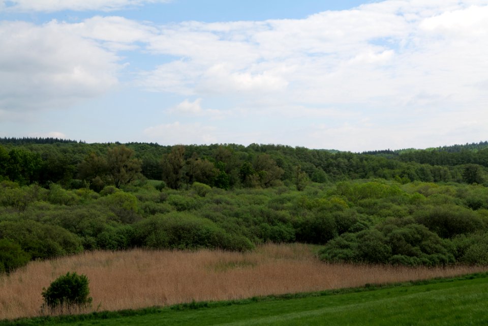 NSG Mellensee-Marienfließ from street 2021-05-29 03