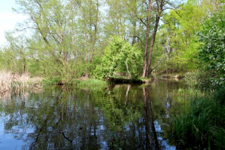 NSG Rangsdorfer See 2021-05-11 24