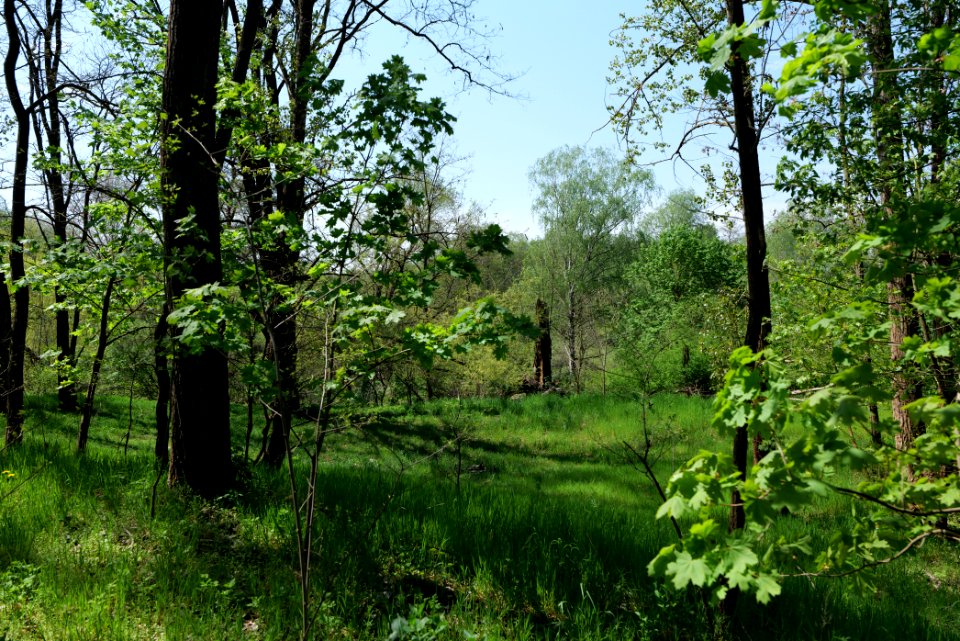 NSG Glasowbachniederung 2021-05-11 23