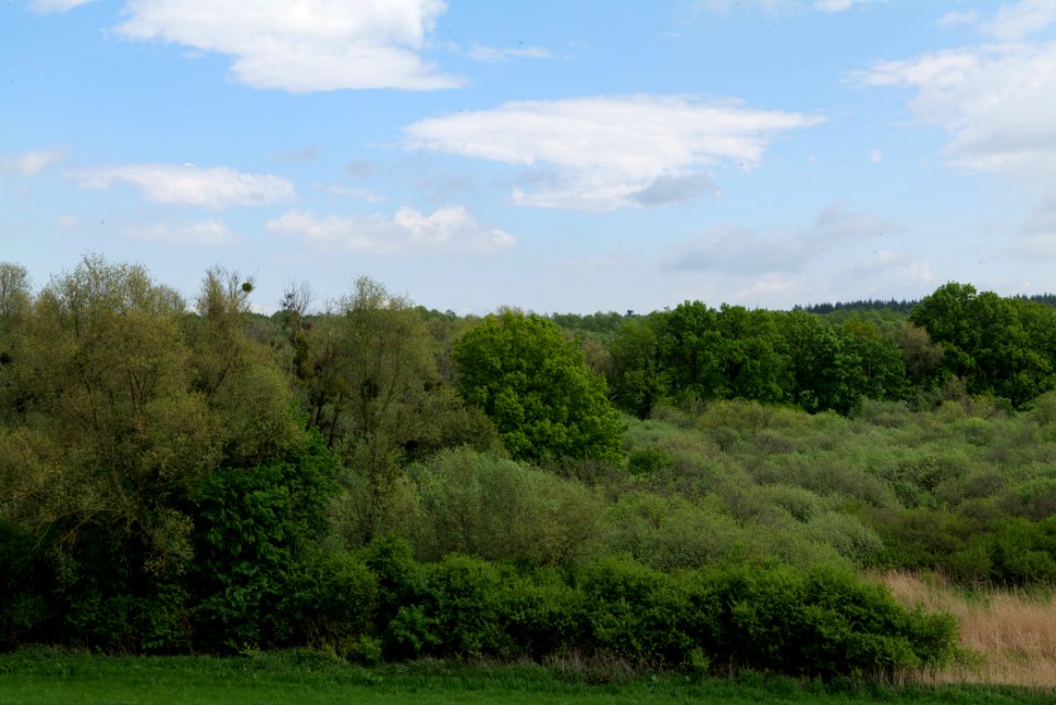 NSG Mellensee-Marienfließ from street 2021-05-29 05