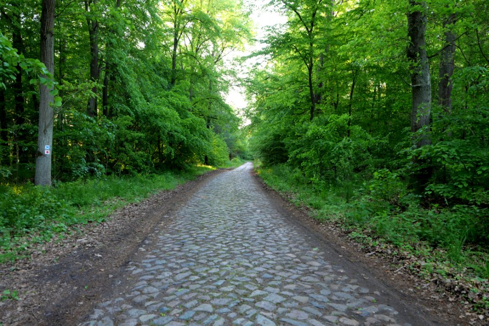 NSG Poratzer Moränenlandschaft 2021-05-29 01