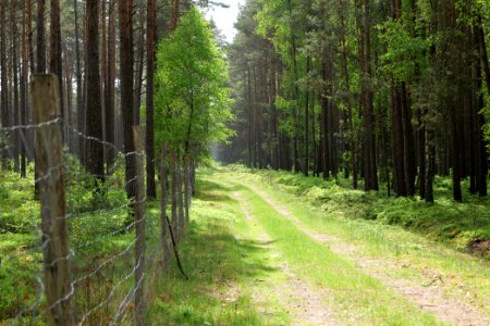 NSG Kleine Schorfheide 2021-05-29 08