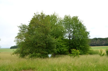 NSG Egelpfuhl bei Oberwetz (3)