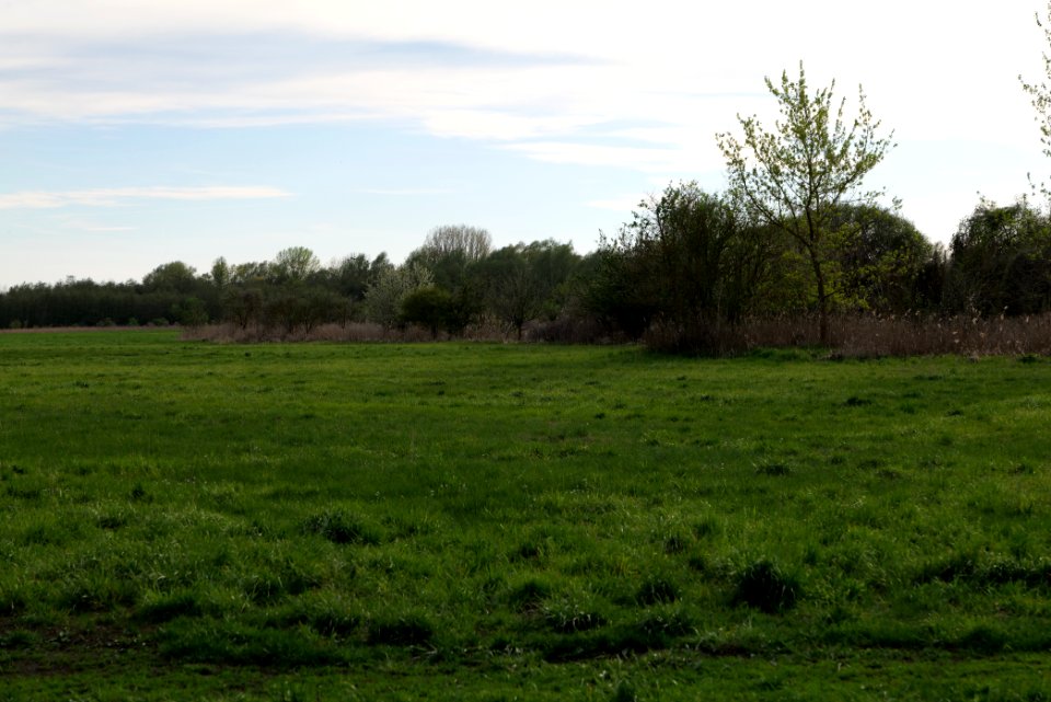 NSG Prierowsee 2021-05-09 08