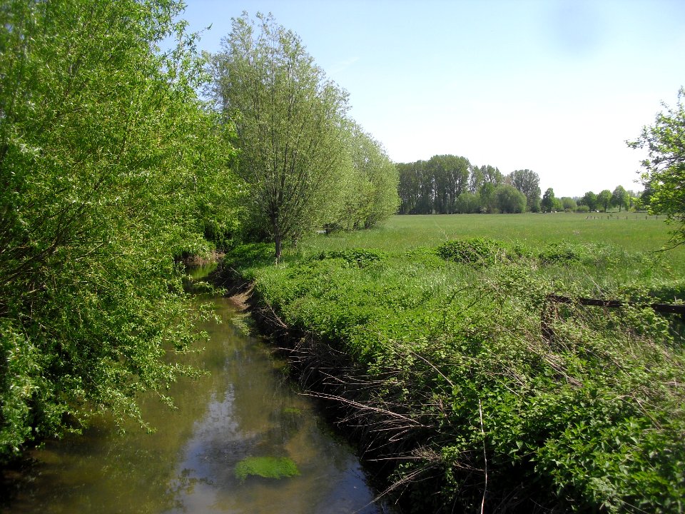 NSG Rabbruch und Osternheuland - 1