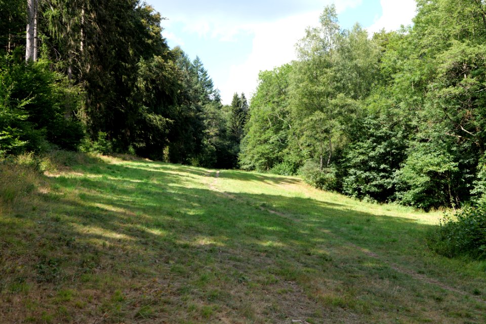 NSG Reichenbachtal 2020-08-18 02