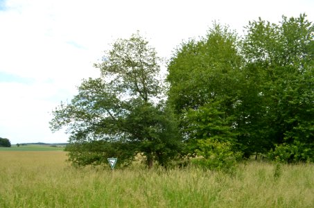 NSG Egelpfuhl bei Oberwetz