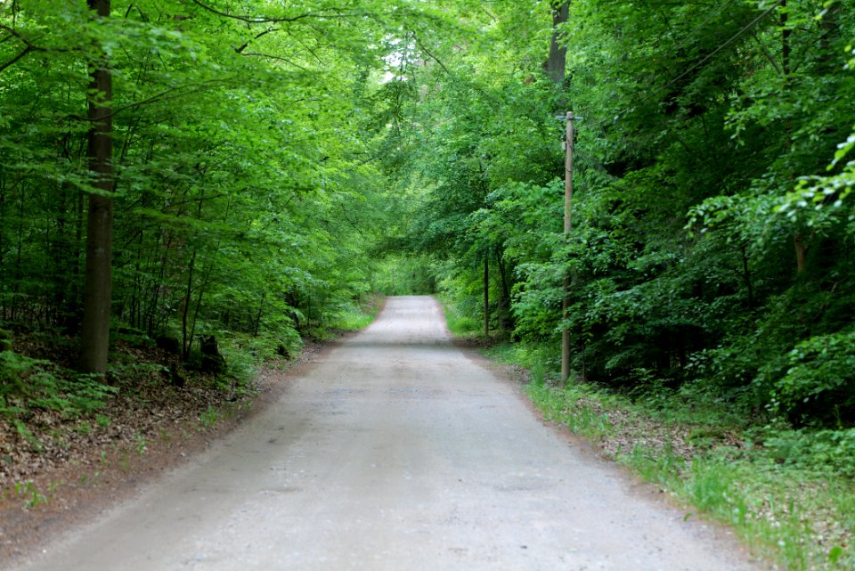 NSG Poratzer Moränenlandschaft 2021-05-29 07