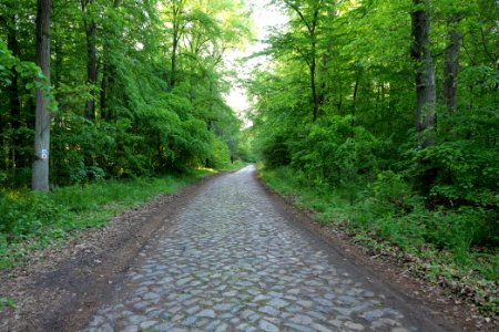NSG Poratzer Moränenlandschaft 2021-05-29 02