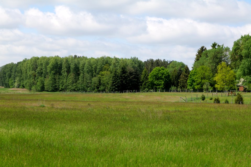 NSG Platkowsee 2021-05-29 13