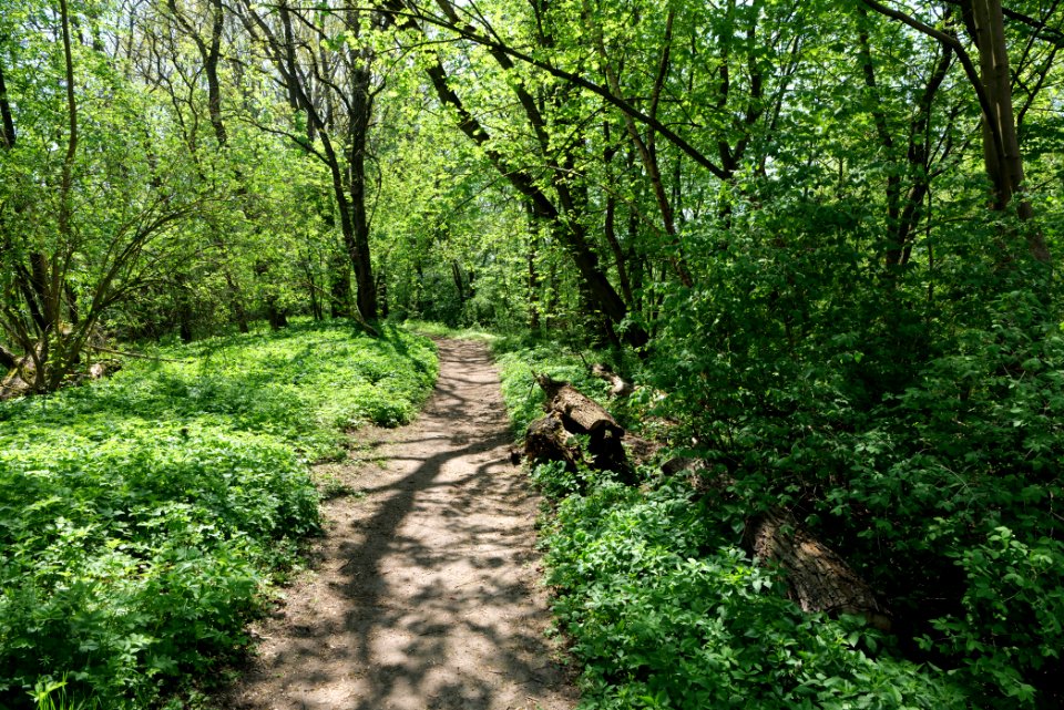NSG Glasowbachniederung 2021-05-11 04