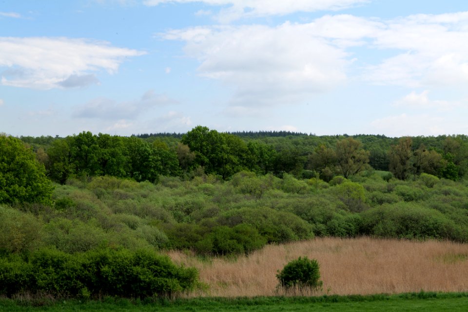 NSG Mellensee-Marienfließ from street 2021-05-29 04