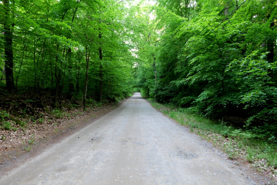 NSG Poratzer Moränenlandschaft 2021-05-29 08