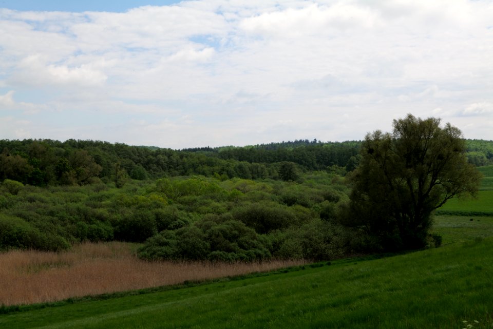 NSG Mellensee-Marienfließ from street 2021-05-29 02