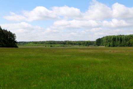 NSG Platkowsee 2021-05-29 15