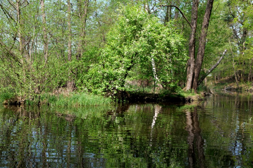 NSG Rangsdorfer See 2021-05-11 25