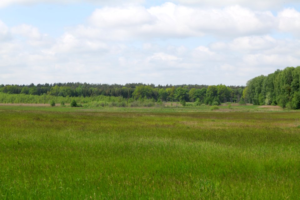 NSG Platkowsee 2021-05-29 11