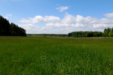 NSG Platkowsee 2021-05-29 17