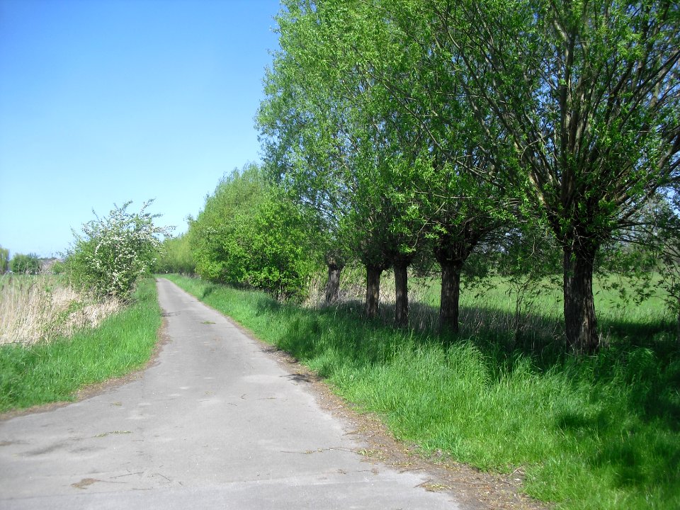 NSG Rabbruch und Osternheuland - 3