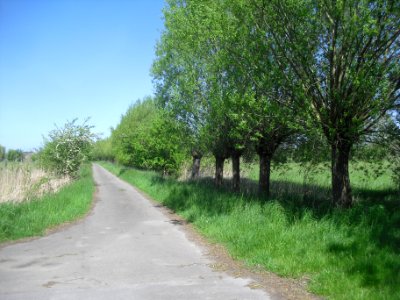 NSG Rabbruch und Osternheuland - 3