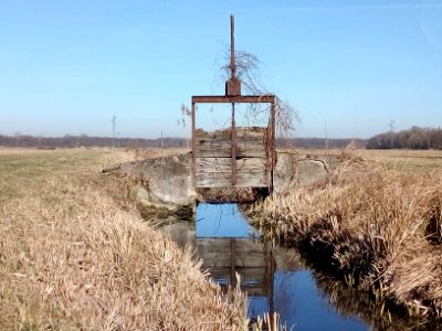 NSG Oberbruchwiesen - Neugraben - Stellfalle der früheren Wiesenwässerung 1