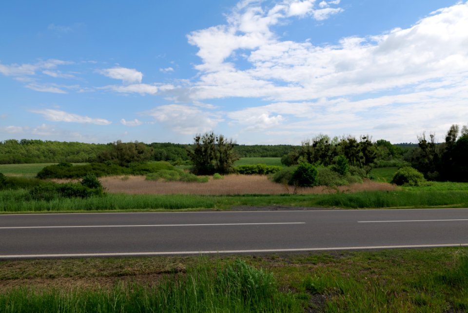 NSG Mellensee-Marienfließ from street 2021-05-29 14