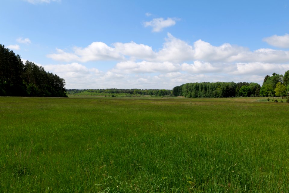 NSG Platkowsee 2021-05-29 16