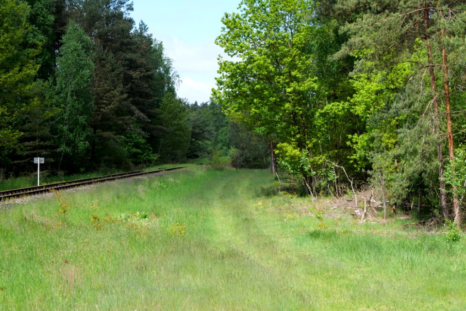 NSG Platkowsee 2021-05-29 05